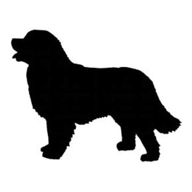Bernese Mountain Dog (Gentle Watch)