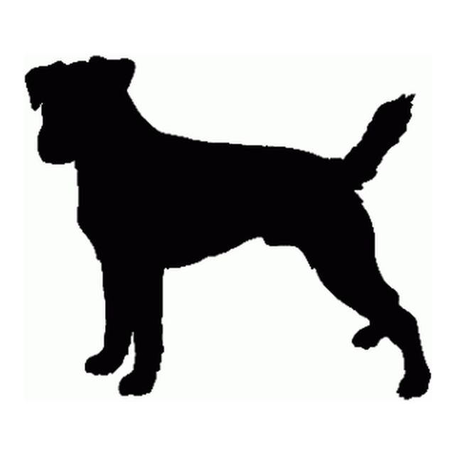 Border Terrier (Perky Ears)