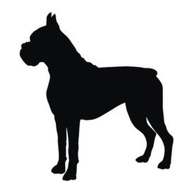 Boxer (Proud Stance)