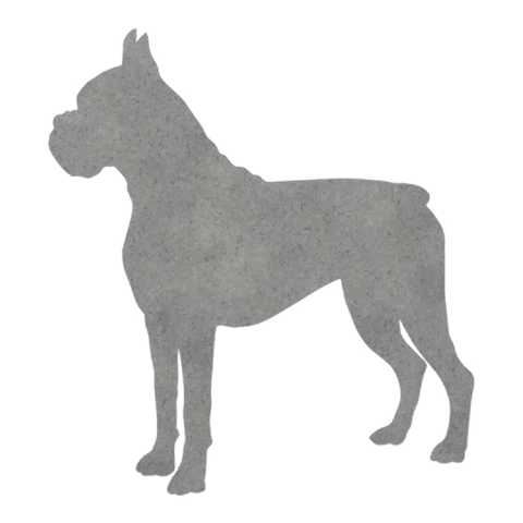 Boxer (Proud Stance)