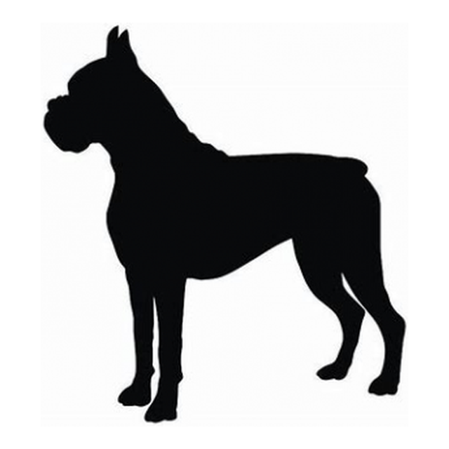 Boxer (Bold Stance)