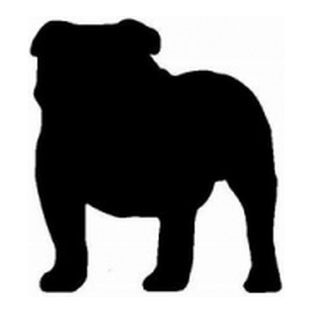 Bulldog (Bold Stance)