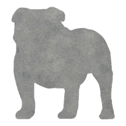 Bulldog (Bold Stance)