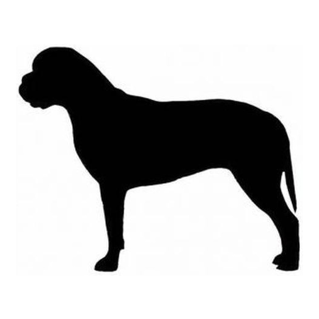 Bullmastiff (Alert Stance)