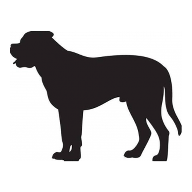 Bullmastiff (Watchful Stance)