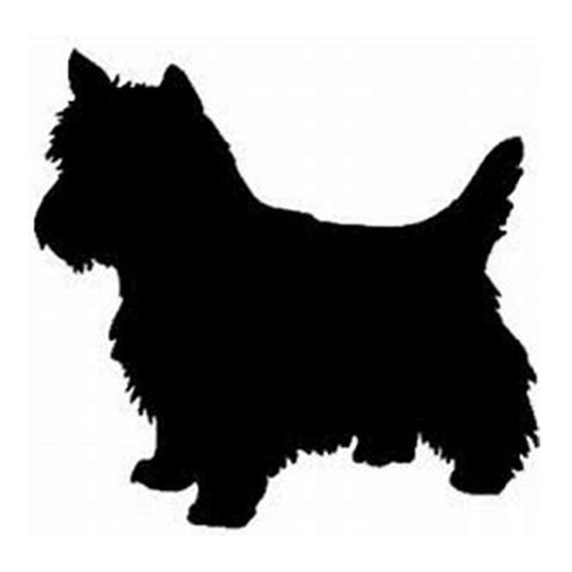 Cairn Terrier (Windswept Coat)