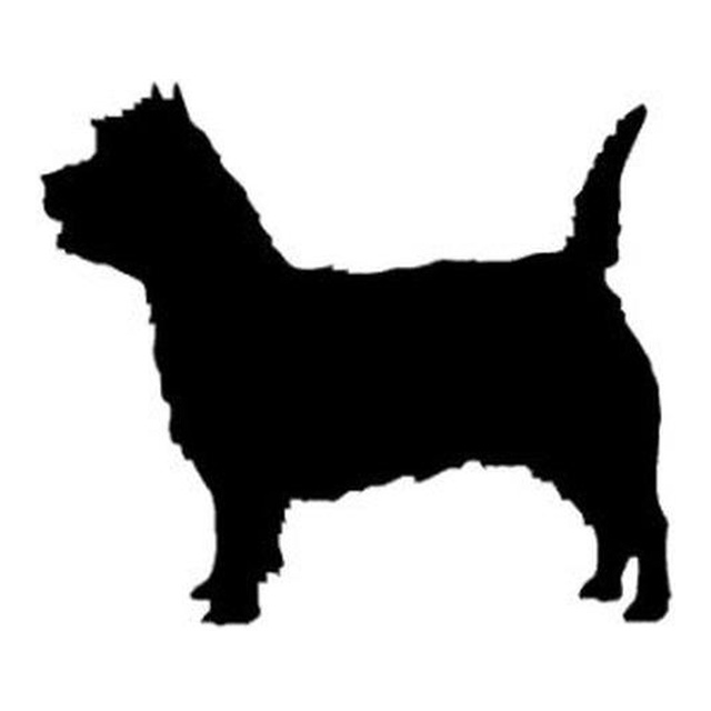 Cairn Terrier (Playful Trot)