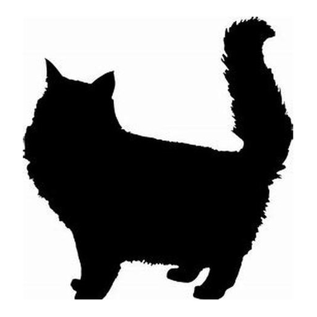 Cat (Tail Held High)
