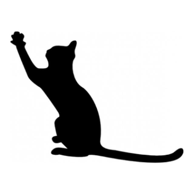 Cat (Playful Reach)