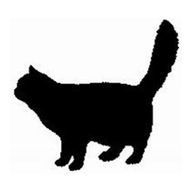 Cat (Content Stroll)