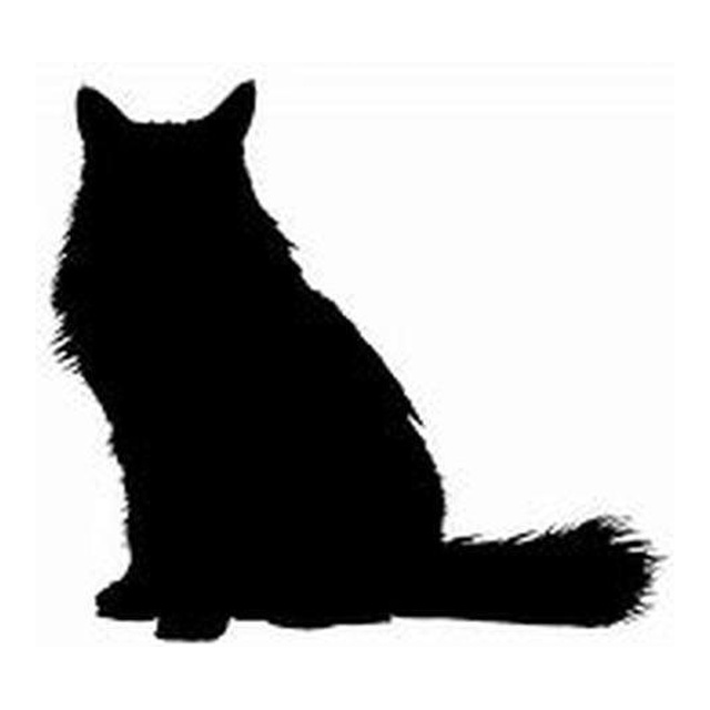 Cat (Quiet Sit)