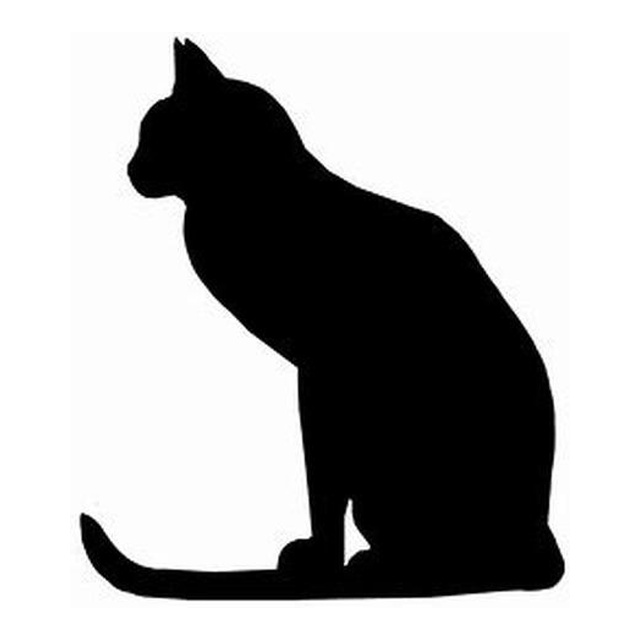 Cat (Composed Sit)