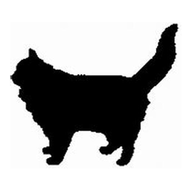 Cat (Proud Walk)