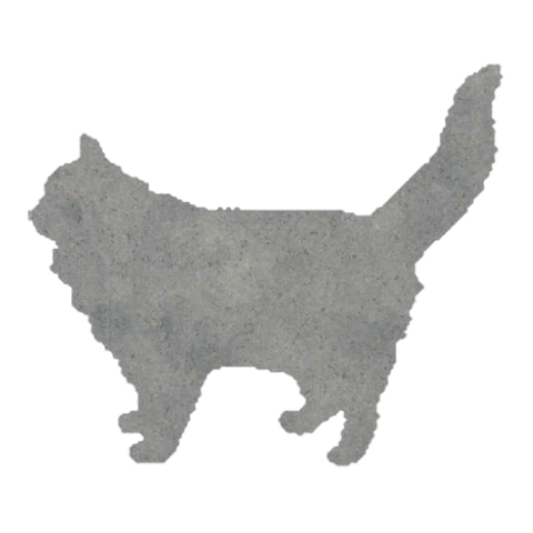 Cat (Proud Walk)