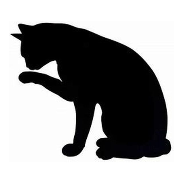 Cat (Grooming Pause)