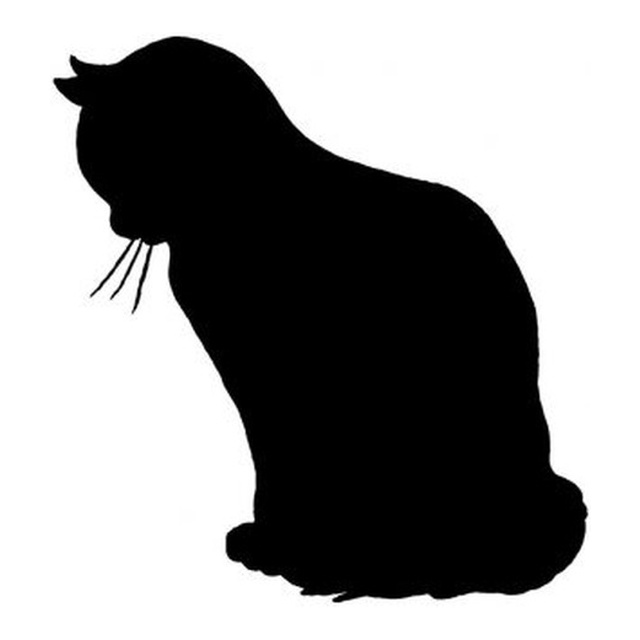 Cat (Curious Glance)