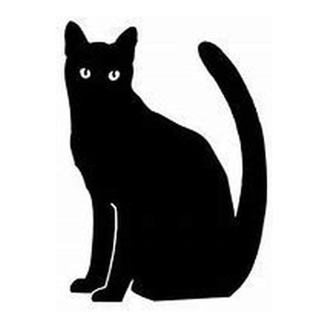 Cat (Watchful Sit)