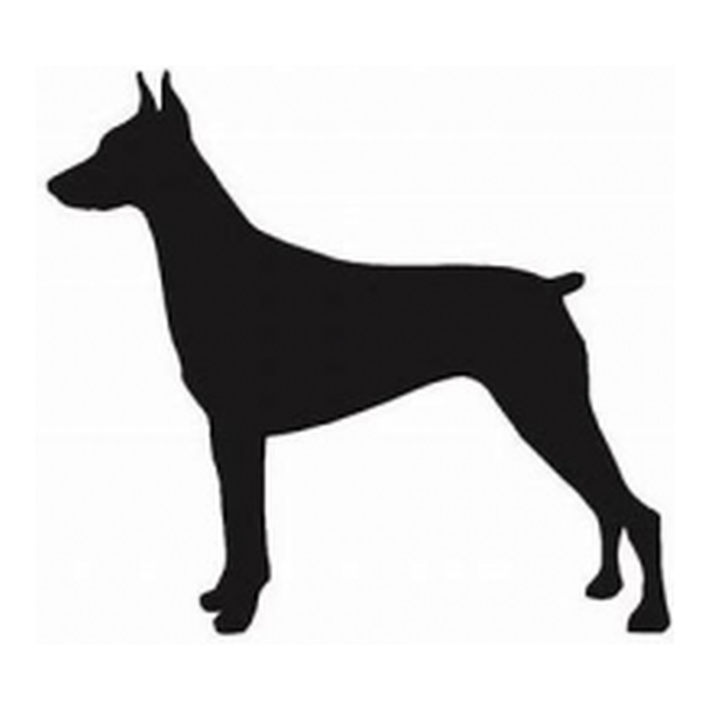 Doberman Pinscher (Alert Stance)