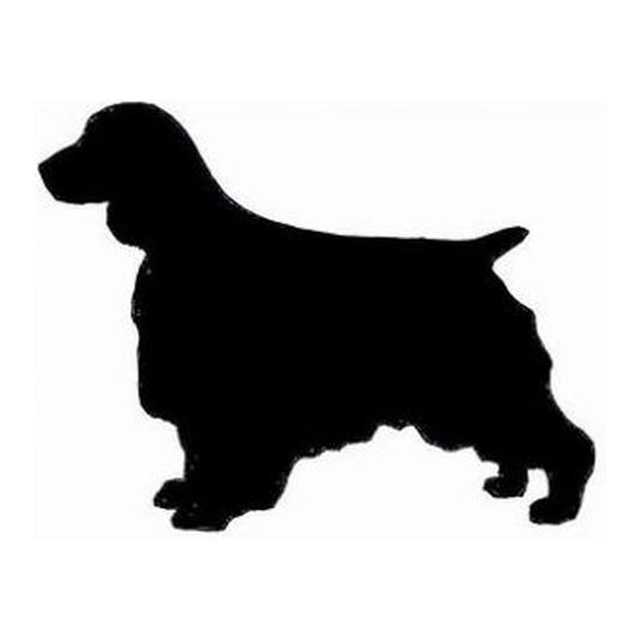English Springer Spaniel (Steady Walk)