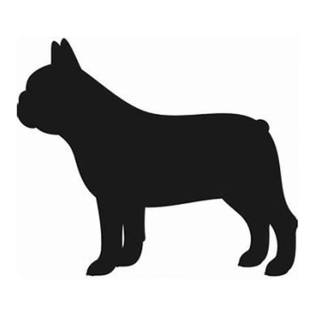 French Bulldog (Proud Stance)