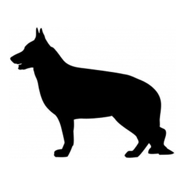German Shepherd (Alert Stance)