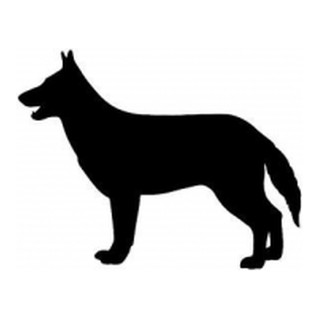 German Shepherd (Cheerful Walk)