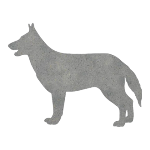 German Shepherd (Cheerful Walk)