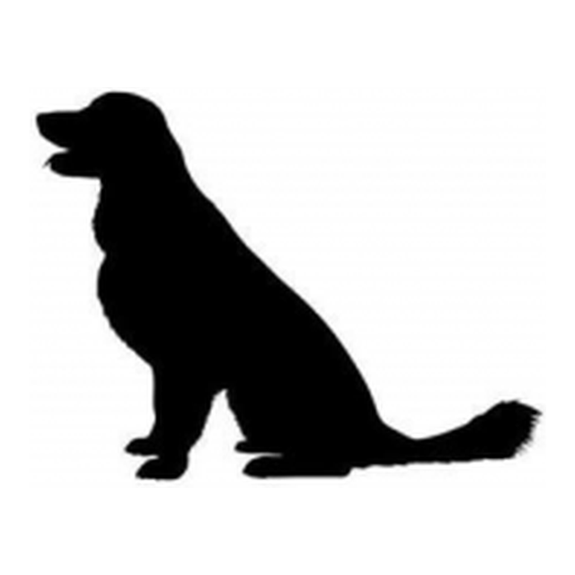 Golden Retriever (Gentle Sit)