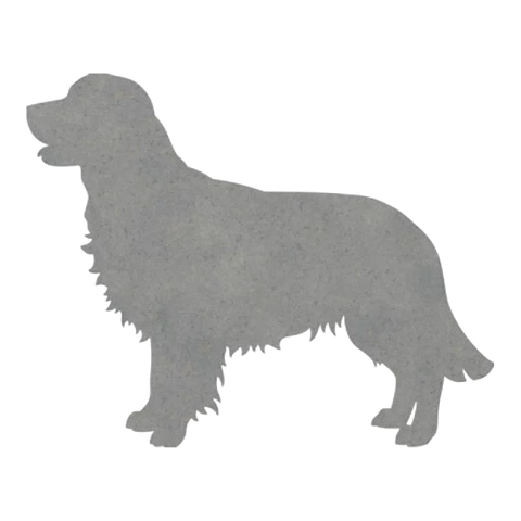 Golden Retriever (Steady Walk)