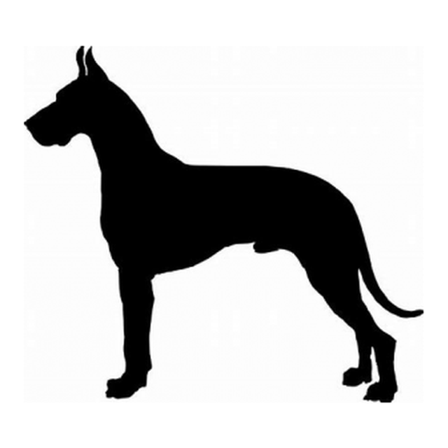 Great Dane (Noble Stance)