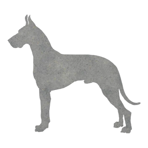 Great Dane (Noble Stance)