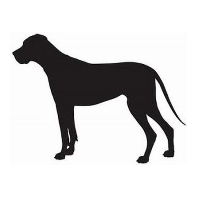Great Dane (Gentle Stance)