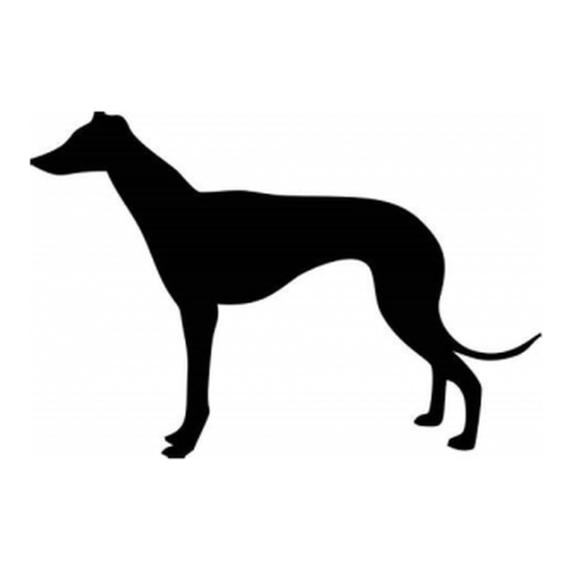 Greyhound (Sleek Stance)