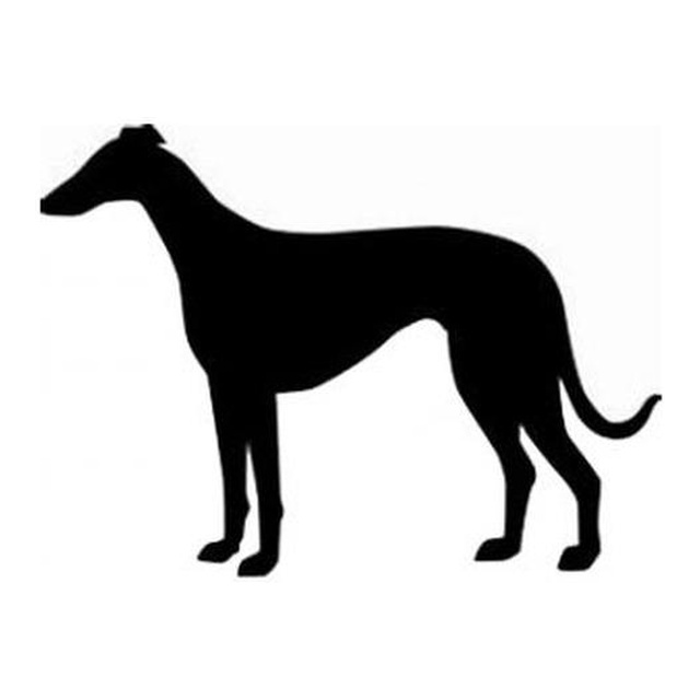 Greyhound (Alert Stance)