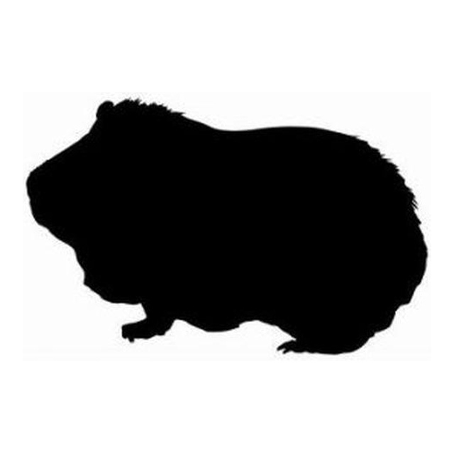 Guinea Pig (Gentle Stance)