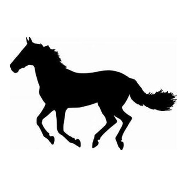 Horse (Spirited Trot)
