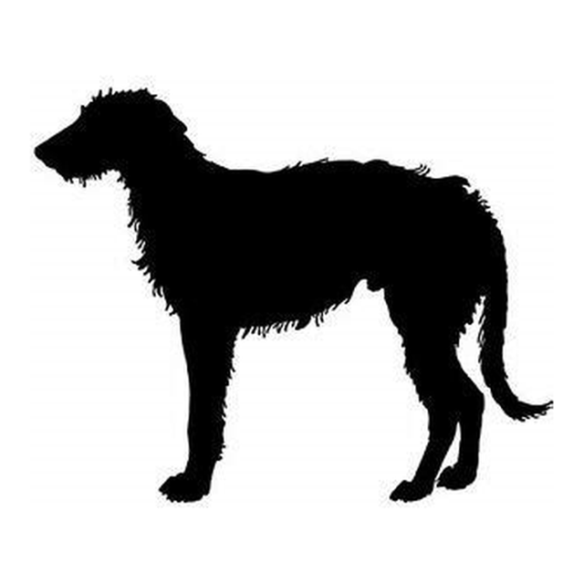 Irish Wolfhound (Stoic Stance)