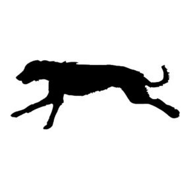 Irish Wolfhound (Full Gallop)