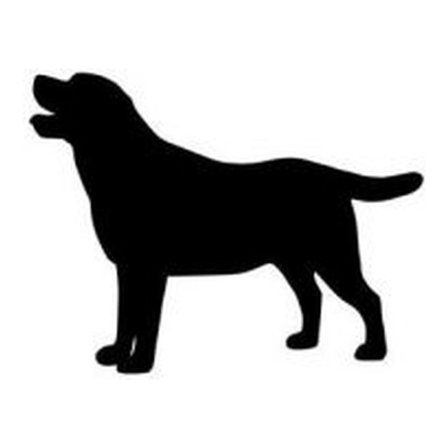 Labrador Retriever (Happy Trot)
