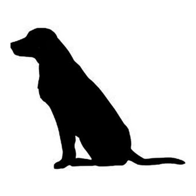 Labrador Retriever (Patient Sit)