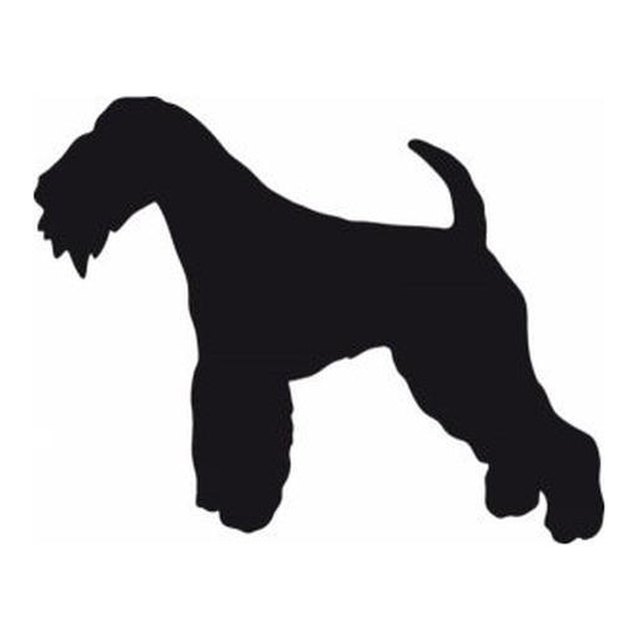 Lakeland Terrier (Shaggy Stance)