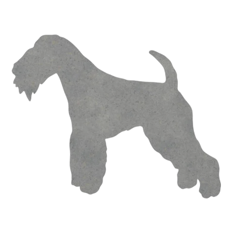 Lakeland Terrier (Shaggy Stance)