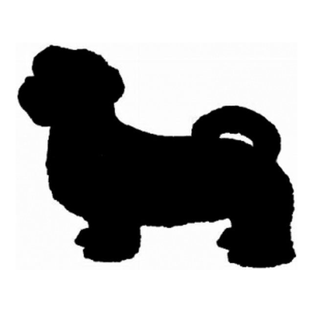 Lhasa Apso (Fluffy Stance)