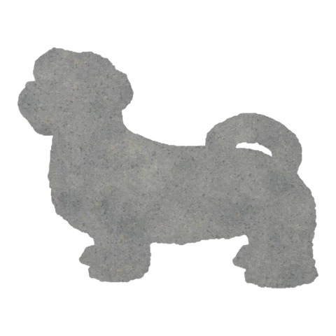 Lhasa Apso (Fluffy Stance)