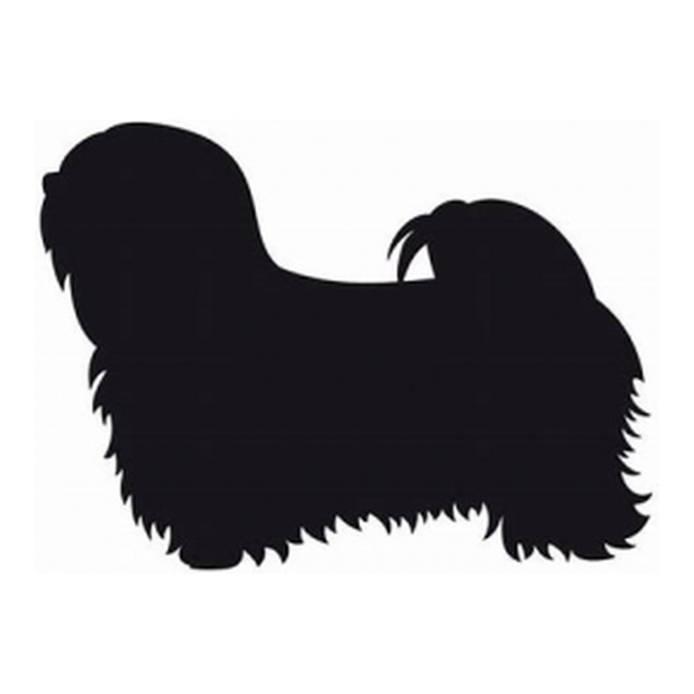 Lhasa Apso (Flowing Coat)