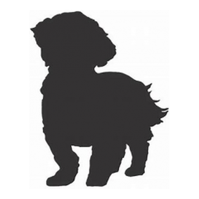 Maltese (Fluffy Stance)