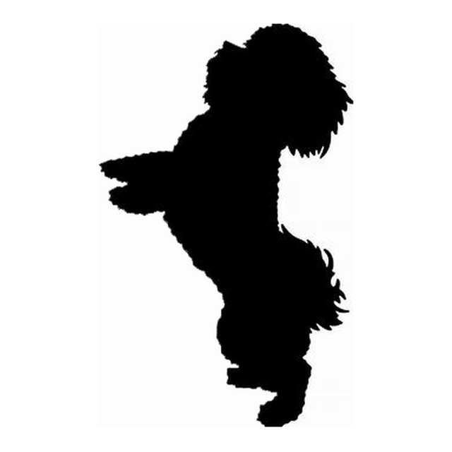 Maltese (Playful Leap)