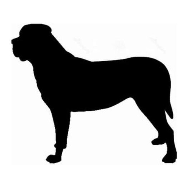 Mastiff (Sturdy Stance)