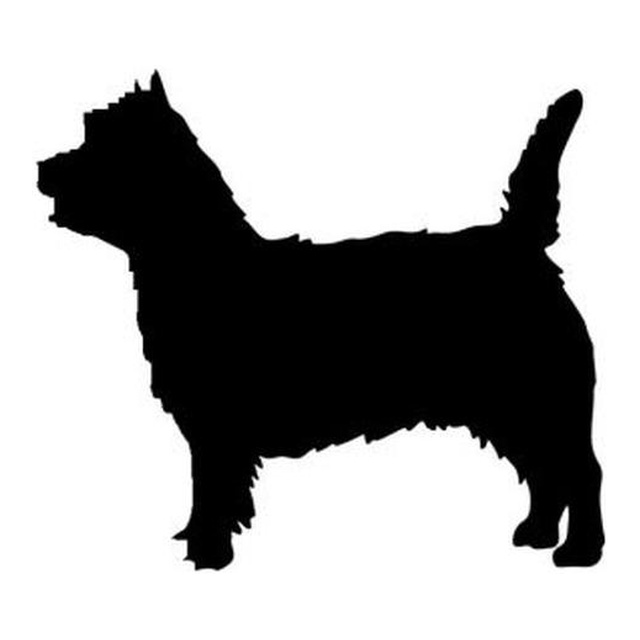 Norwich Terrier (Alert Stance)