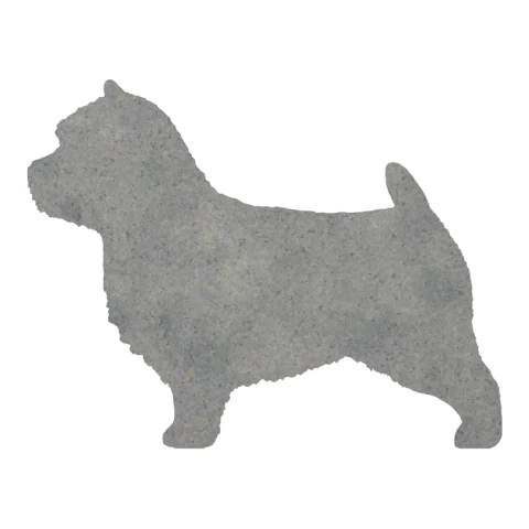 Norwich Terrier (Perky Stance)